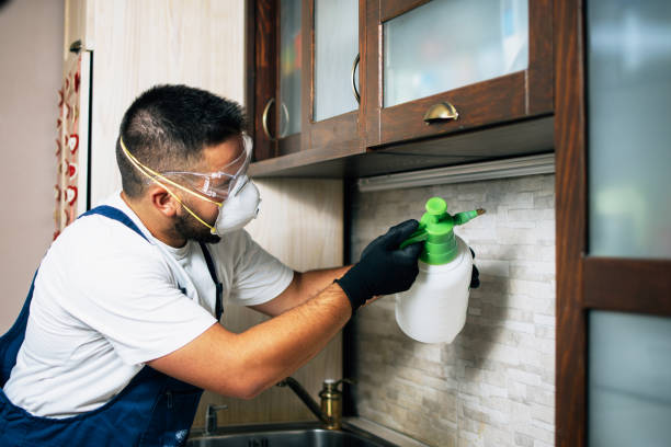 Best Pest Inspection Near Me  in Libby, MT