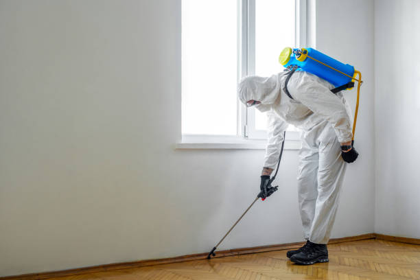 Best Bed Bug Extermination  in Libby, MT