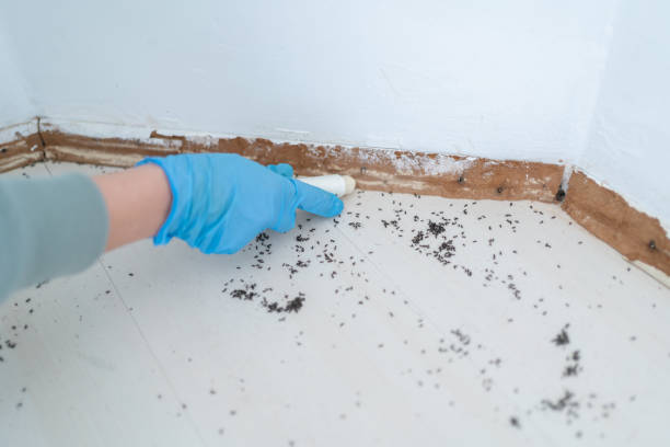 Best Exterminator Services  in Libby, MT