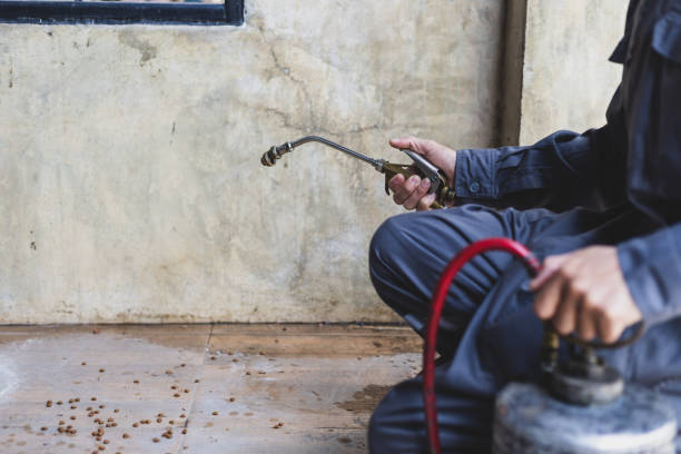 Best Best Pest Control Companies  in Libby, MT